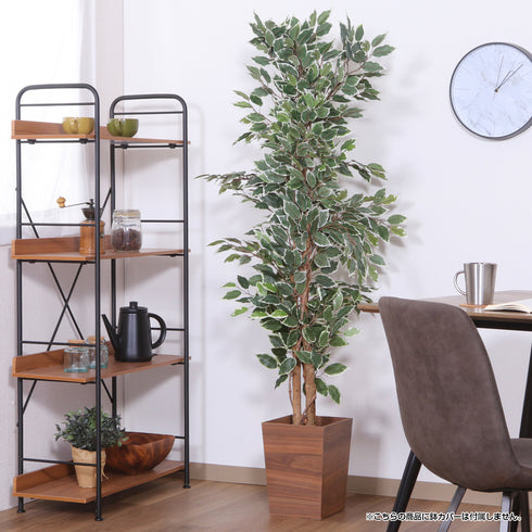 鉢付きなのでそのまま使えますが、お好きな鉢カバーを付けてカスタマイズするのもオススメです(※鉢カバーは付属していません)。