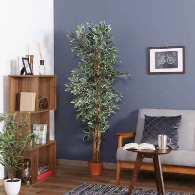 人工観葉植物 フィカス