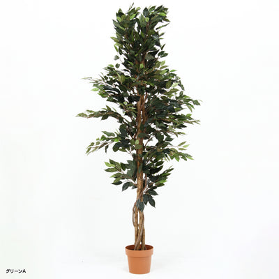 人工観葉植物 フィカス