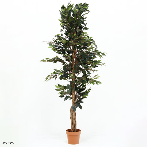 人工観葉植物 フィカス