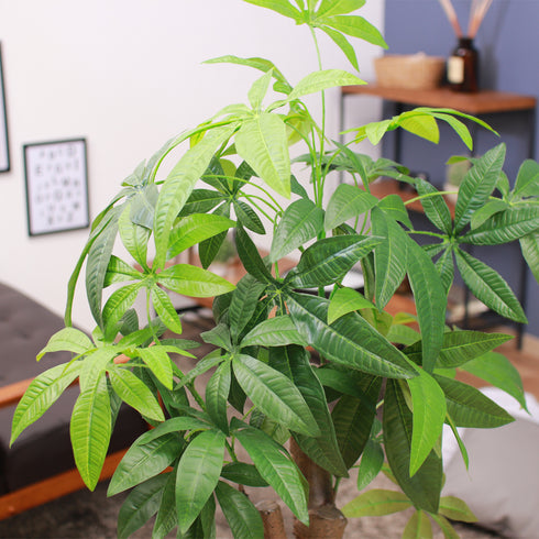 人工観葉植物 パキラ 朴の木タイプ(W900×D900×H1500)