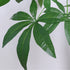 人工観葉植物 パキラ 朴の木タイプ(W900×D900×H1500)