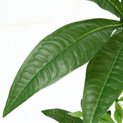 人工観葉植物 パキラ 朴の木タイプ(W900×D900×H1500)