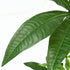 人工観葉植物 パキラ 朴の木タイプ(W900×D900×H1500)