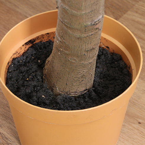 鉢に敷き詰められた土までも本物のような仕上がりです。