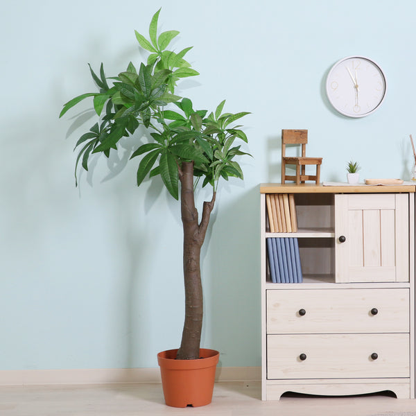 本物の植物のようなリアルな質感を再現した、パキラの人工観葉植物です。