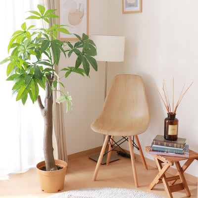 人工観葉植物 パキラ 朴の木タイプ(W900×D900×H1500)