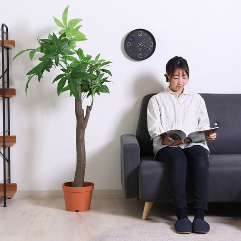 人工観葉植物 パキラ 朴の木タイプ(W900×D900×H1500)
