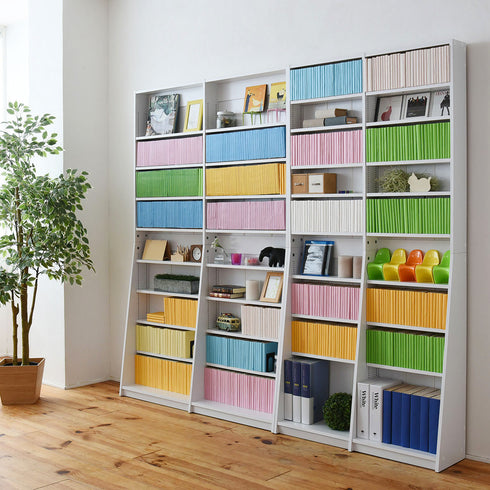 薄型文庫本収納ラック(W900×D120-240×H1800)