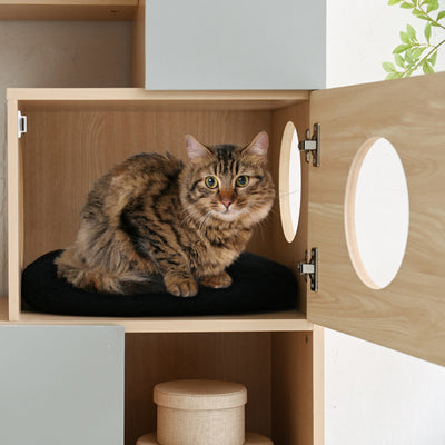 ねこちゃんの通れる穴が開いている扉内は程よく薄暗いので、ねこちゃんのリラックスできる場所になり、勿論普通に収納としてもお使いいただけます。