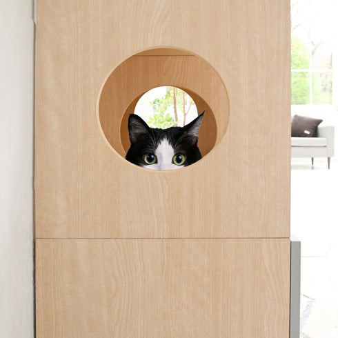 ねこちゃんの通るスペースと収納スペースがしっかり分かれているので、収納物を壊される心配もありません。