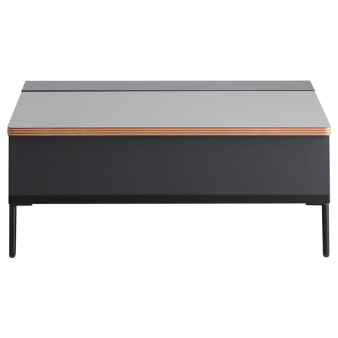 昇降テーブル(W895×D588×H370-582)