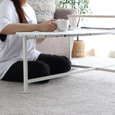 テラーゾ 円形リビングテーブル(W1220×D600×H520)