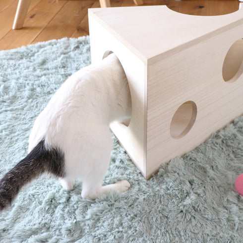 treemo たべられないチーズ(W495×D360×H320)