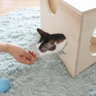 猫がチーズの中に入って顔を出せる可愛い仕様で、猫にとってお気に入りの遊び道具になってくれることでしょう。