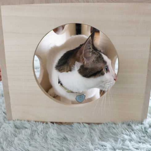 treemo たべられないチーズ(W495×D360×H320)