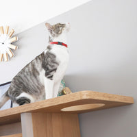 【好奇心をくすぐる場所】愛猫がひょっこり顔を出すのにぴったりな、ユニークな穴が魅力的です。