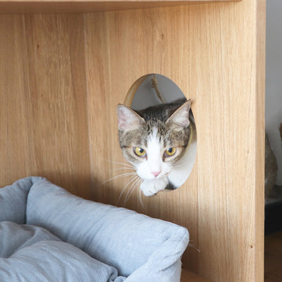 treemo まるみえチェスト(W759×D400×H720)