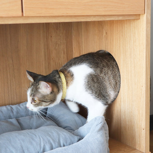 treemo まるみえチェスト(W759×D400×H720)