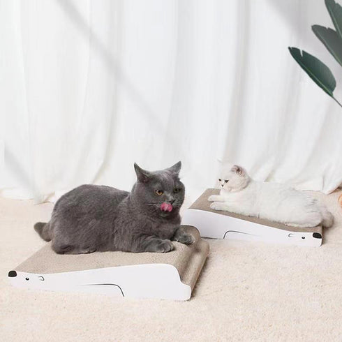 【愛猫もご満悦】くつろぎの空間で、愛猫が最高の癒しを体験できます。