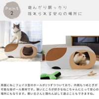 【好奇心を刺激する仕掛け】二つの猫型ホールは、遊び場としても隠れ家としても猫ちゃんを楽しませます。