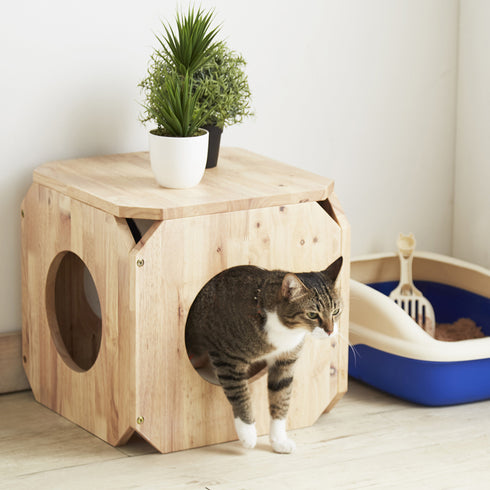 インテリア性の高いナチュラル色を採用することで、既存のインテリアとも馴染みやすく、ネコちゃんにも優しい色合いが人気のネコちゃん用家具「キャトハス」のペットベンチSです。