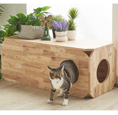 四方に出入口を設けることで、自由に出入りが可能となっています。