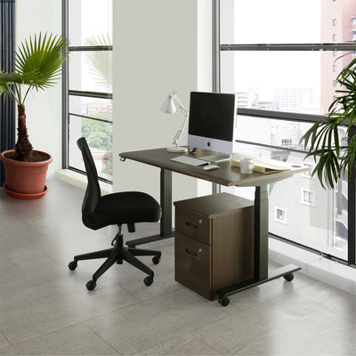 【あなただけの快適な書斎づくり】
お気に入りのチェアやキャビネットと合わせ、自分だけの理想的なワークスペースを創造してください。