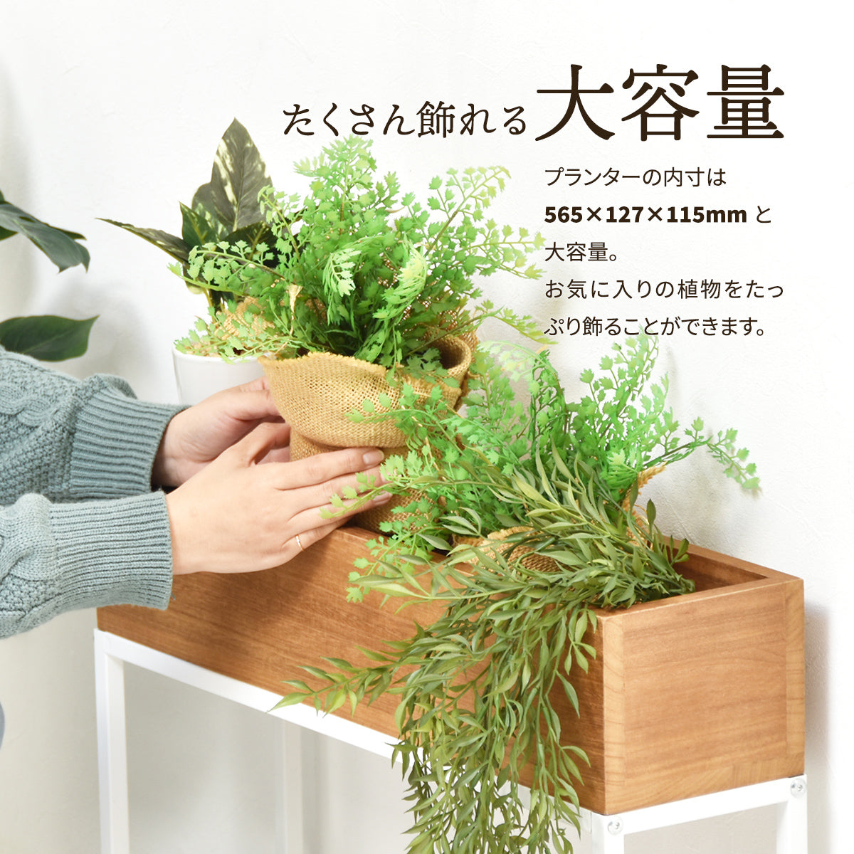 【豊かな表情のグリーンを飾る】たっぷりとした奥行きのあるボックスには、お好みの植物を複数並べて、癒しの空間を演出できます。