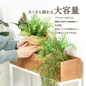 【豊かな表情のグリーンを飾る】たっぷりとした奥行きのあるボックスには、お好みの植物を複数並べて、癒しの空間を演出できます。