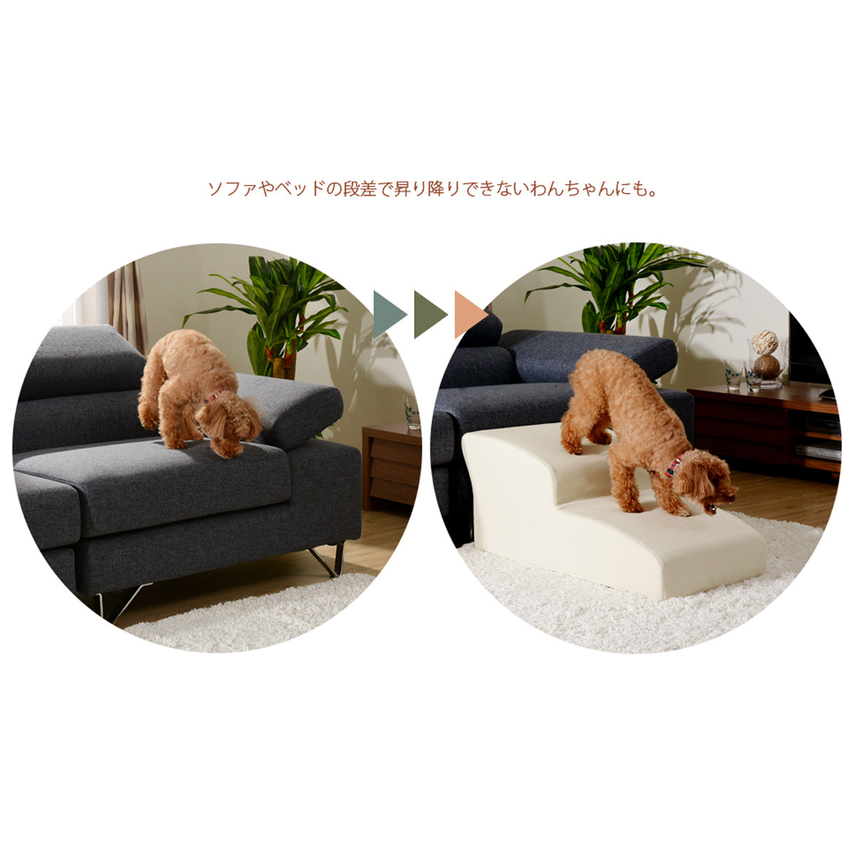 【負担軽減で健やかな毎日を】愛犬の足腰への負担を大きく軽減。飛び降りる危険から守り、安全で快適な昇り降りを実現します。