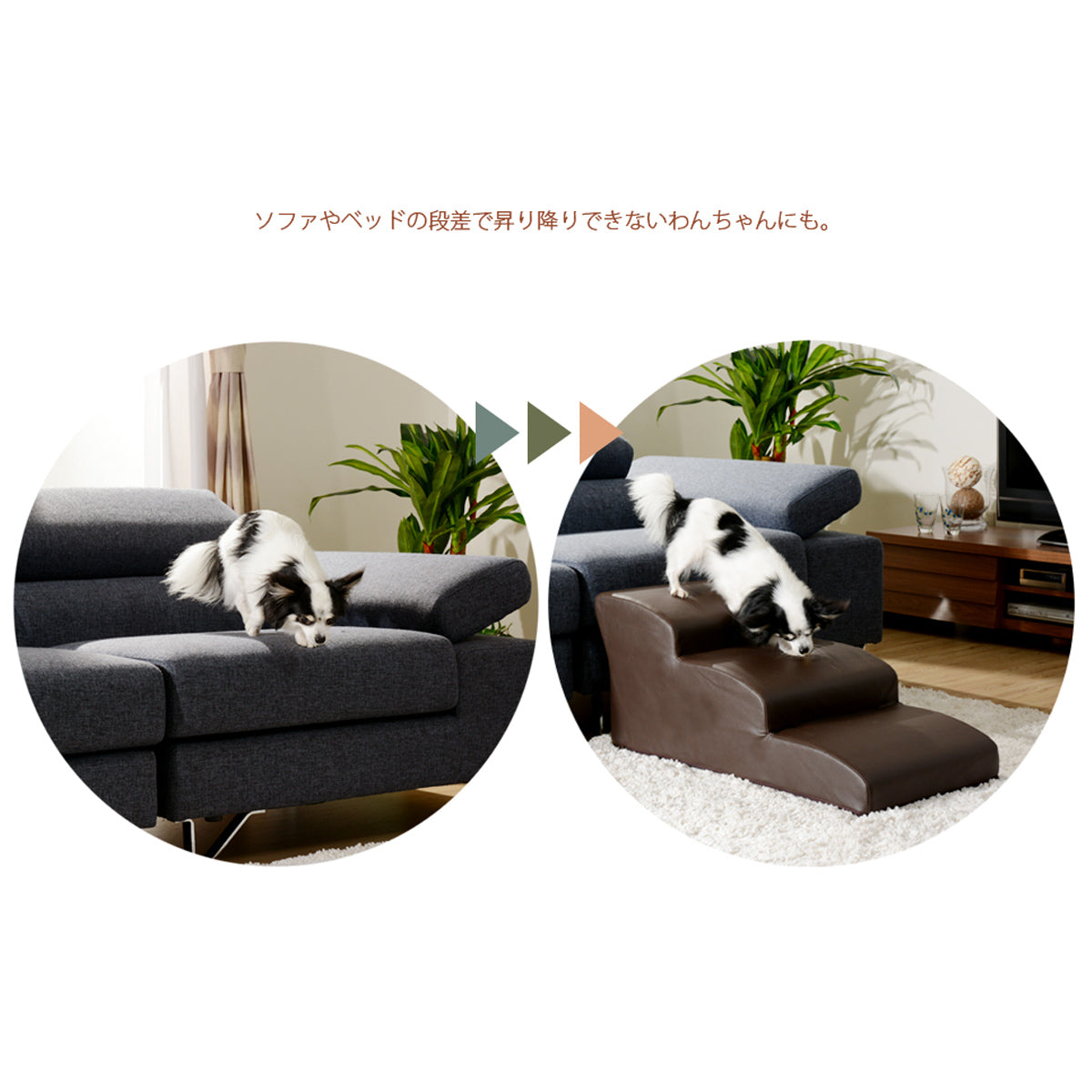 【飛び降りるリスクから守る】愛犬の足腰への負担を大きく減らし、ケガのリスクを軽減することで、飼い主様も心から安心できます。