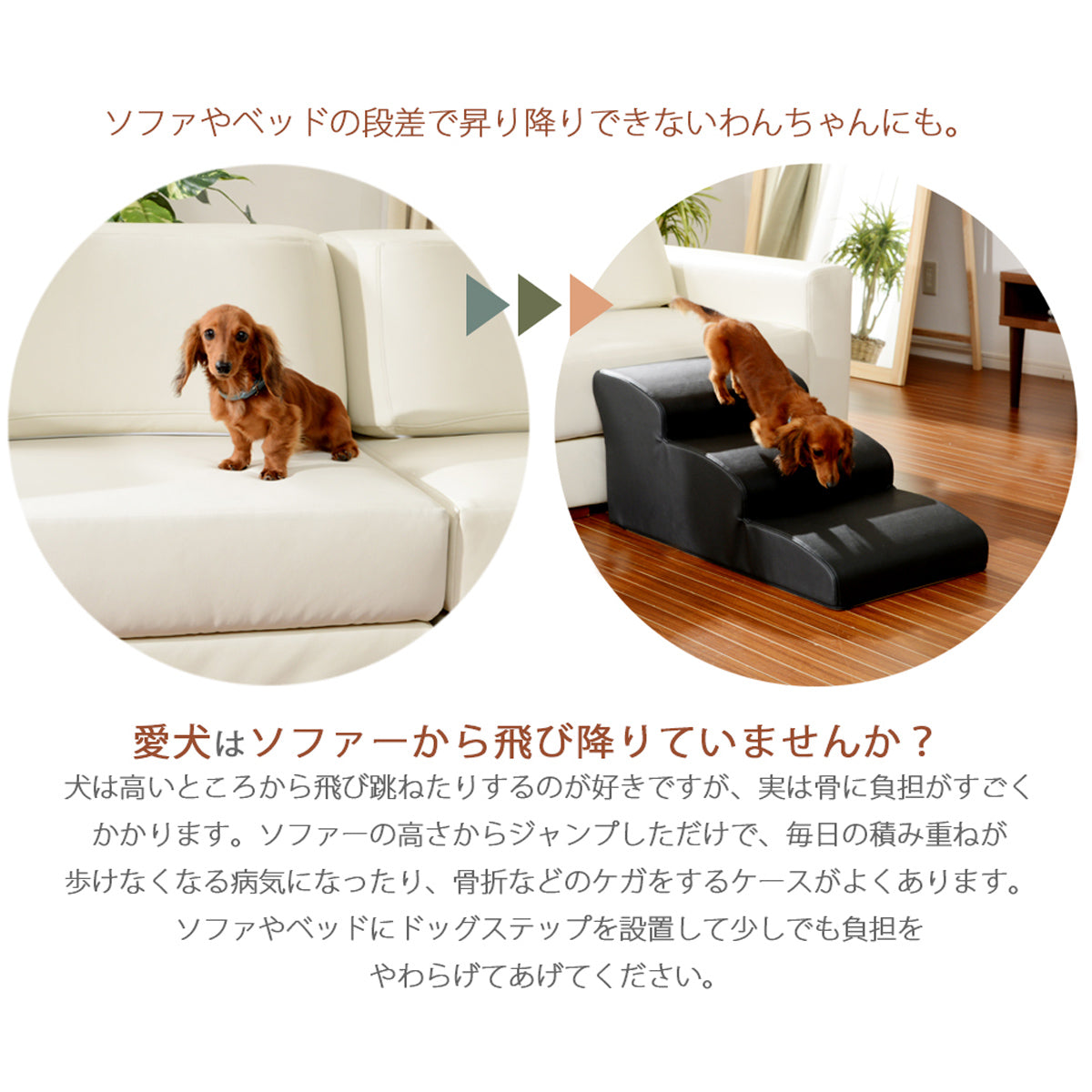 【優しい4段設計】ミニチュアダックスフンドに最適な段差高さ約9cmの設計で、無理なく昇り降りでき、日々の積み重なる負担から愛犬を守ります。