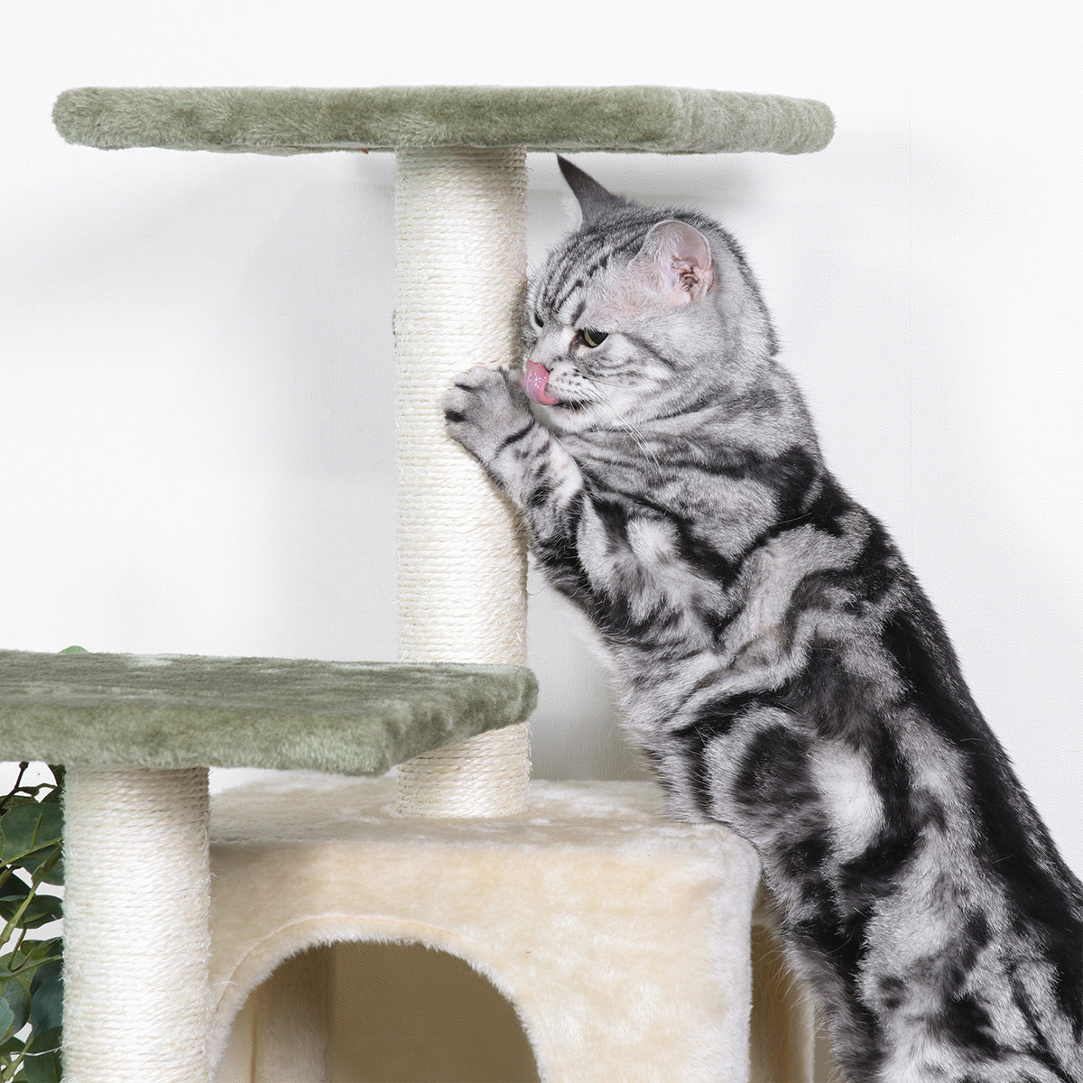【思いっきり爪とぎ】丈夫な麻紐巻きの支柱で、猫ちゃんのストレス解消をサポートします。