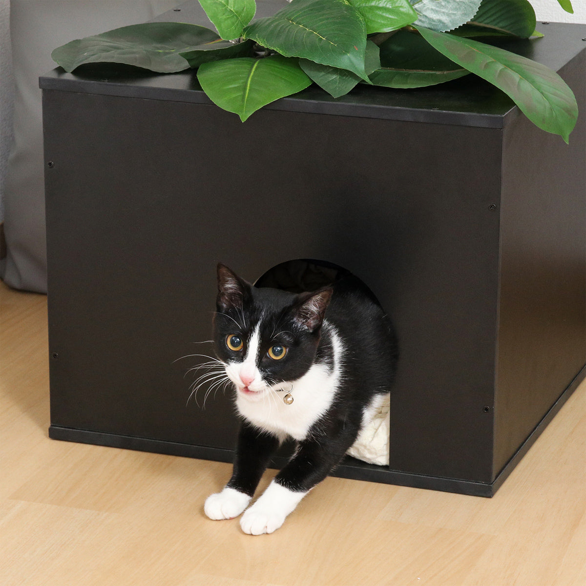 【秘密の隠れ家キャットハウス】ベース部分には、猫ちゃんが安心して隠れたり、お昼寝したりできる快適なハウスを設けました。