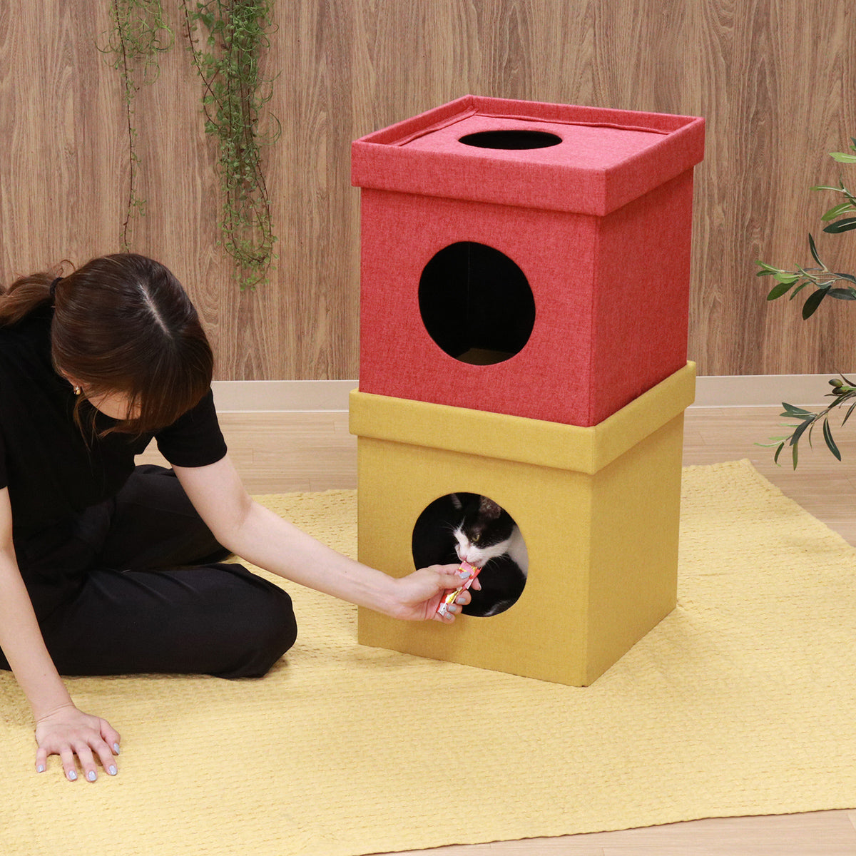 【愛する家族の特等席】狭い場所を好む猫ちゃんにぴったりの隠れ家で、安心とくつろぎの時間をプレゼント。