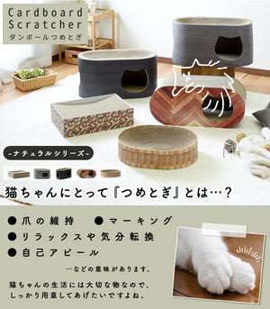 【猫の本能を満たす必需品】爪とぎは、爪のケアだけでなく、リラックスやマーキング、ストレス解消にも繋がる大切な習慣です。