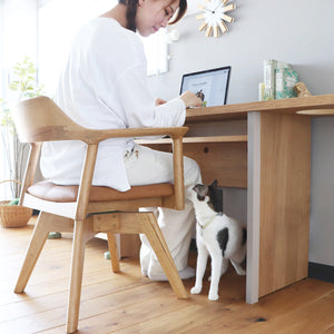 【癒しのパートナーと】作業に集中するあなたの足元で、愛らしい猫がそっと寄り添います。