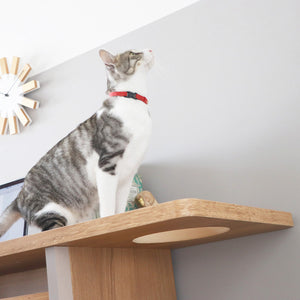 【好奇心をくすぐる場所】愛猫がひょっこり顔を出すのにぴったりな、ユニークな穴が魅力的です。