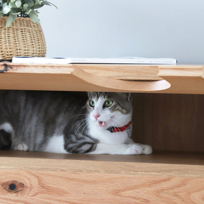 上段にはフラップ扉収納を備え、猫を飼われていないご家庭でもお使いいただける万能デザインです。
