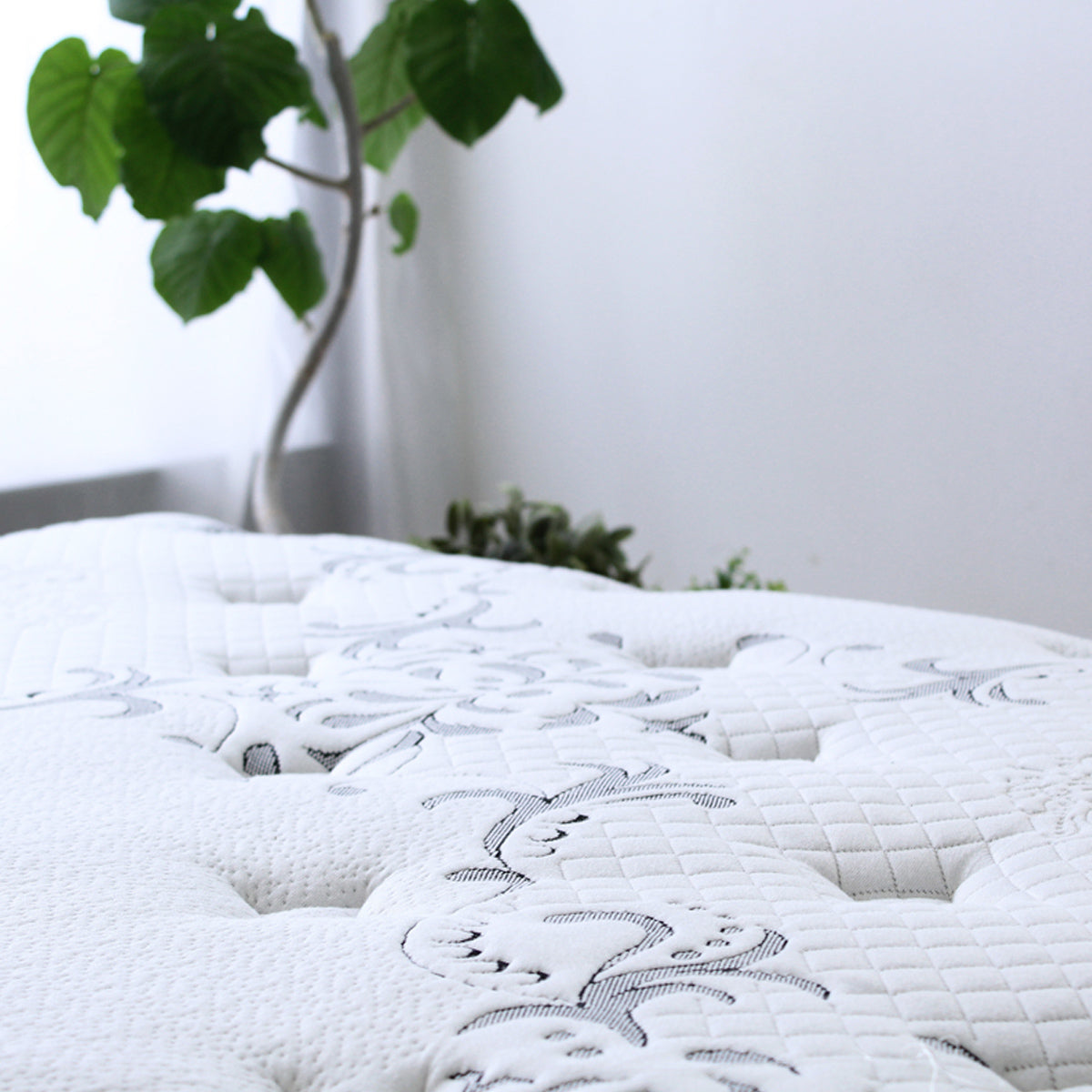 【陽だまりの安らぎ】明るい光が差し込む窓辺で、まるで自然の中で眠るような心地よさを感じてください。