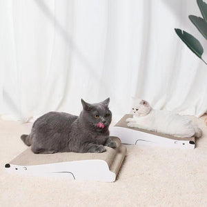 【愛猫もご満悦】くつろぎの空間で、愛猫が最高の癒しを体験できます。