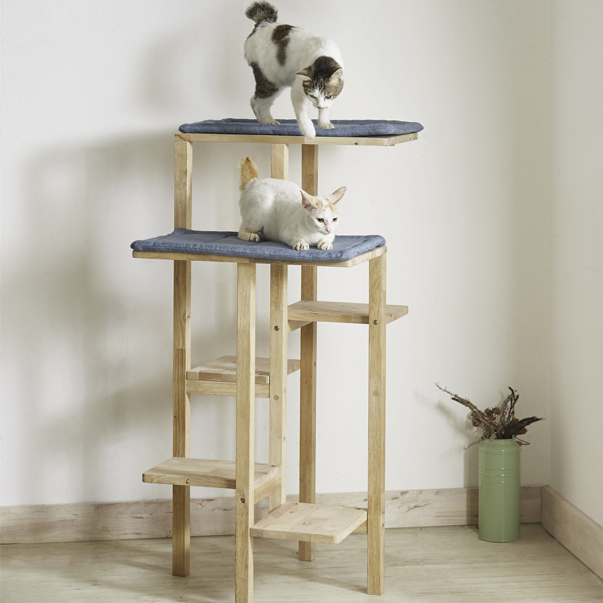 キャットタワーステップ キャトハスシリーズ（W540×D600×H1140）の通販  