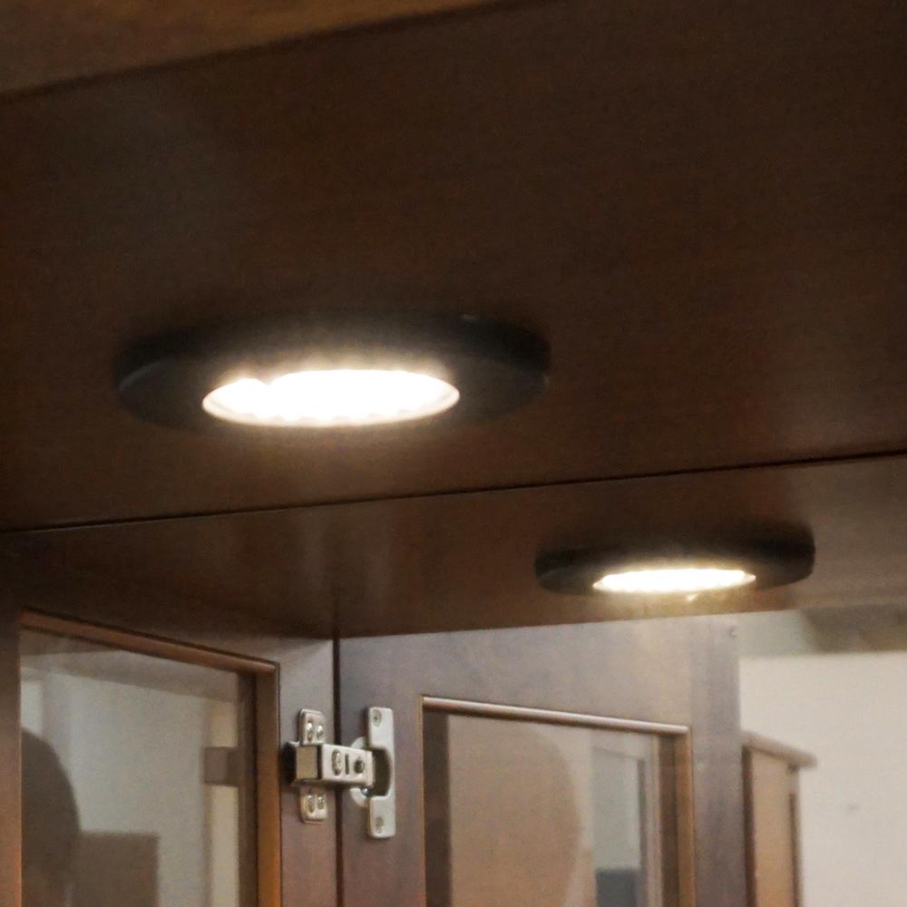 【コレクションを輝かせる光】上部に埋め込まれたダウンライトが、大切なコレクション一つひとつを鮮やかに照らします。